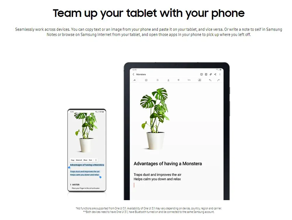 Samsung Galaxy Tab S6 Lite Tablet
