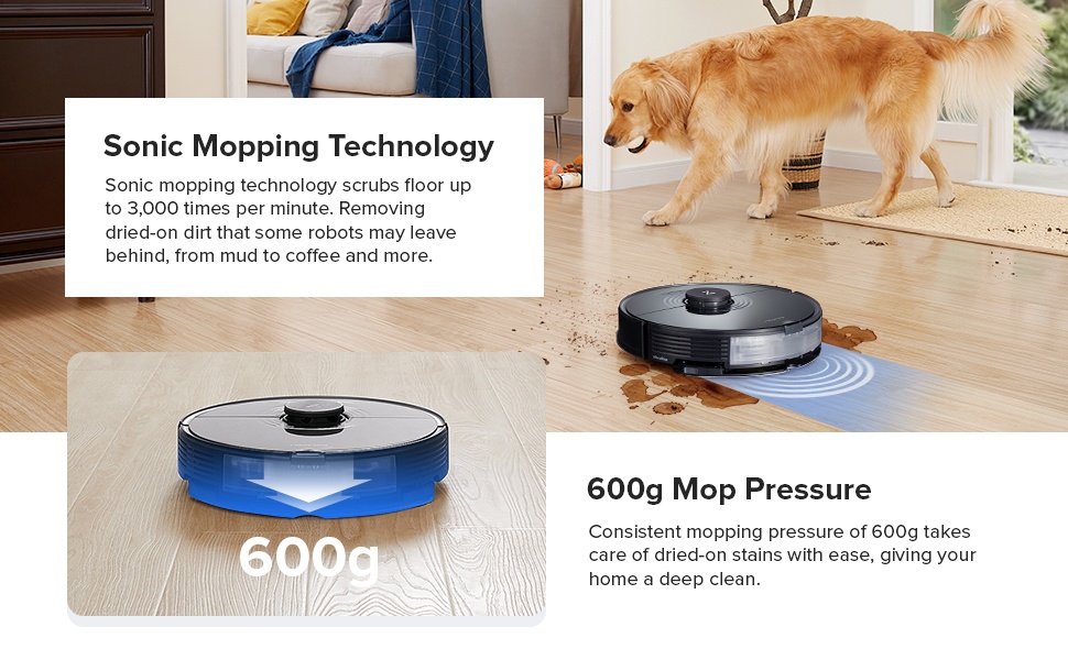 robot vacuum with auto-empty dock